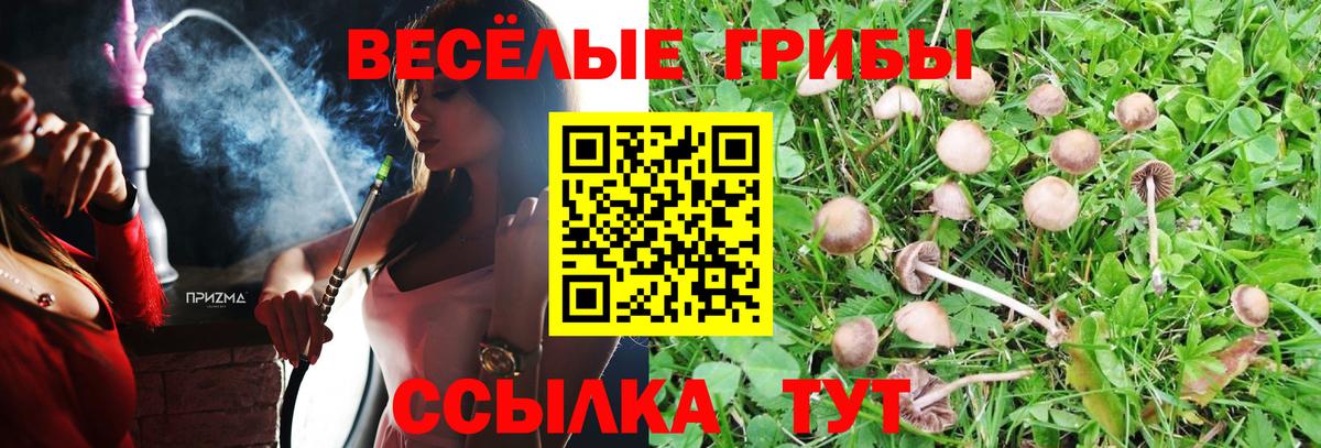 Галлюциногенные грибы MAGIC MUSHROOMS Минусинск